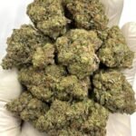 Best Choice THCa Flower