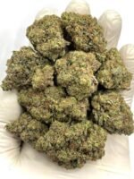 Best Choice THCa Flower