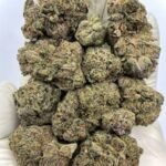 Birthday Cake THCa Flower