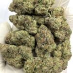 Black Cherry Punch THCa Flower