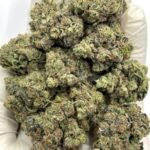 Black Triangle THCa Flower