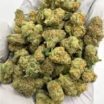 Electric Honeydew CBD Flower