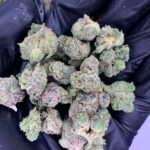 Codeine Cupz THCa Flower