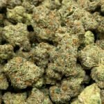 Creamy Vanilla Delta-8 THC Flower