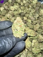 Detroit Runtz THCa