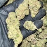 Donny Burger THCA Flower