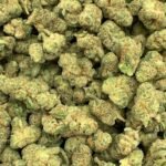 Gary Payton Delta-9 THC Flower