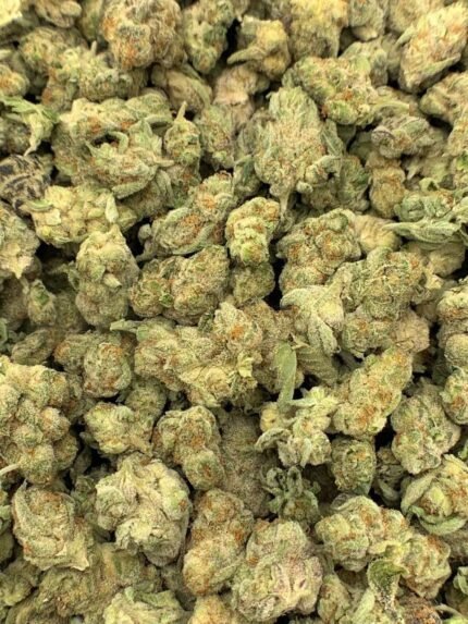 Gelato THC-O Flower