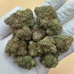 Girl Crush THCA Flower