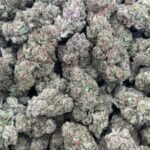 Girl Scout Cookies HHC Flower