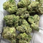 Gorilla Glue #4 THCa Flower