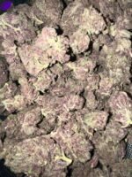 Gorilla Skunk Indoor THCa - Image 2