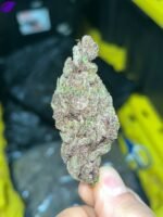 Gorilla Skunk Indoor THCa