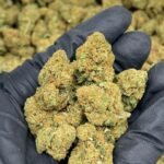 Grape Paradise Delta-8 THC Flower