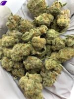 Grapes and Cream THCa Flower