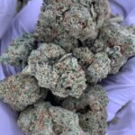 Hawaiian Shaved Ice THCa Flower