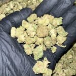 Hella Jelly THCa Flower