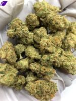 Honey Buns Exotic THCa Flower