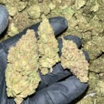 Honey Mintz THCA Flower