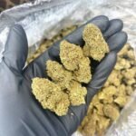 Hubba Bubba CBD Strain