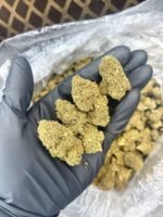 Hubba Bubba CBD Strain