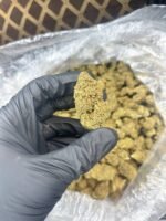 Hubba Bubba CBD Strain - Image 2