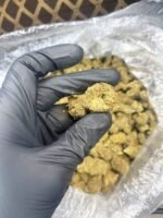 Hubba Bubba CBD Strain - Image 3