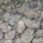 ICC Indoor CBD Strain