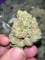 Ice Cream Cake THCa