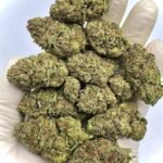 Ice Cream Cake THCa Flower