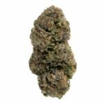 Jet Fuel Gelato Skunk THCa Flower - Image 2