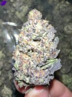Jokerz THCa