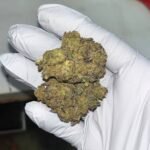 Jungle Driver THCA Flower