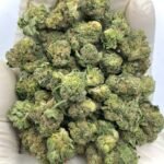 Keylime Jack THCa Flower