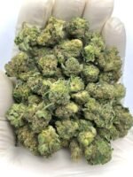 Keylime Jack THCa Flower