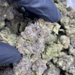 Krypto Chronic THCa Flower