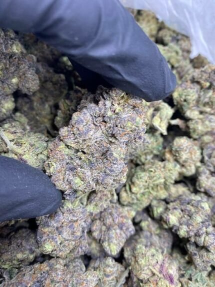 Krypto Chronic THCa Flower