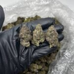 Lemon Cherry Gelato CBD Strain