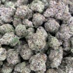 Lemon Cherry Gelato THCa