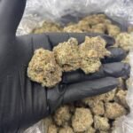 Lemon Cream CBG Flower