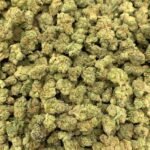 Mango Haze HHC Flower