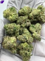 Martian Candy Exotic THCa Flower