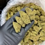 Master OG CBD Strain