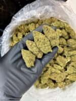 Master OG CBD Strain