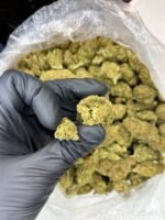 Master OG CBD Strain - Image 3