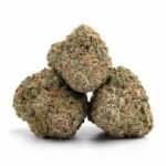 Mimosa Orange Punch THCa Flower - Image 2