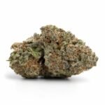 Mimosa Orange Punch THCa Flower - Image 3