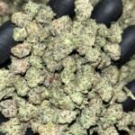 Oreoz smalls THCA Exotics