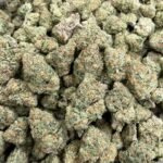 Papaya Punch Indoor CBD Strain