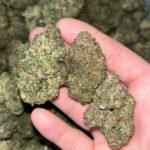 Permanent Marker THCA